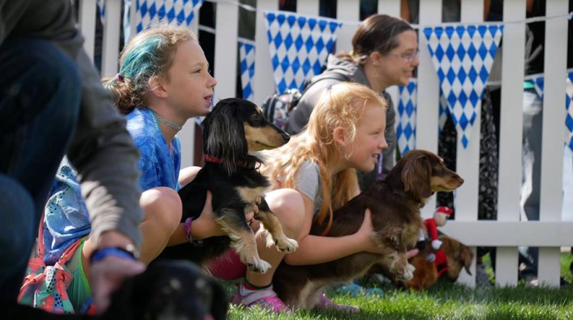 Kirkland Oktoberfest Wiener Dog Race | Seattle Area Family Fun Calendar ...